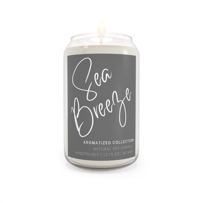 Sea Breeze Scented Soy Candle - Relaxing Aromatherapy for Home, Gift for Her, Spa Decor, Elegant Candle Gift, Eco-Friendly Candle