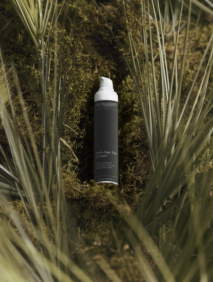 The Age-Defying Trio Collection Box