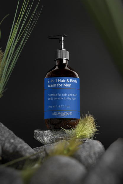 2-in-1 Hair & Body Wash for Men