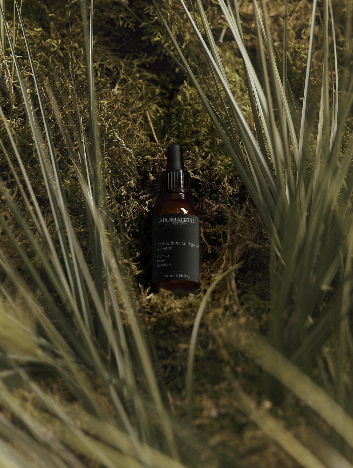 Antioxidant Ginkgo Gel Booster