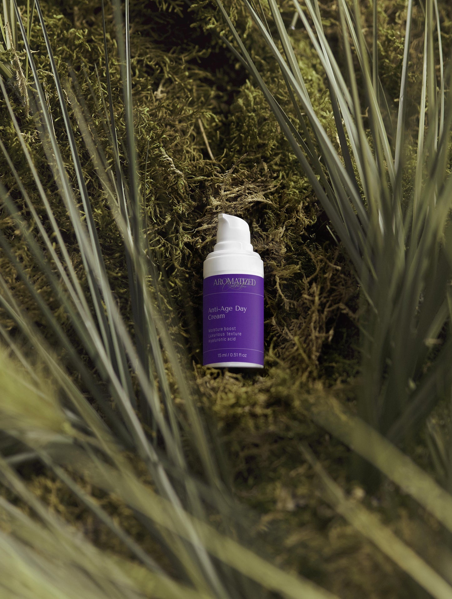 Timeless Radiance Collection Box